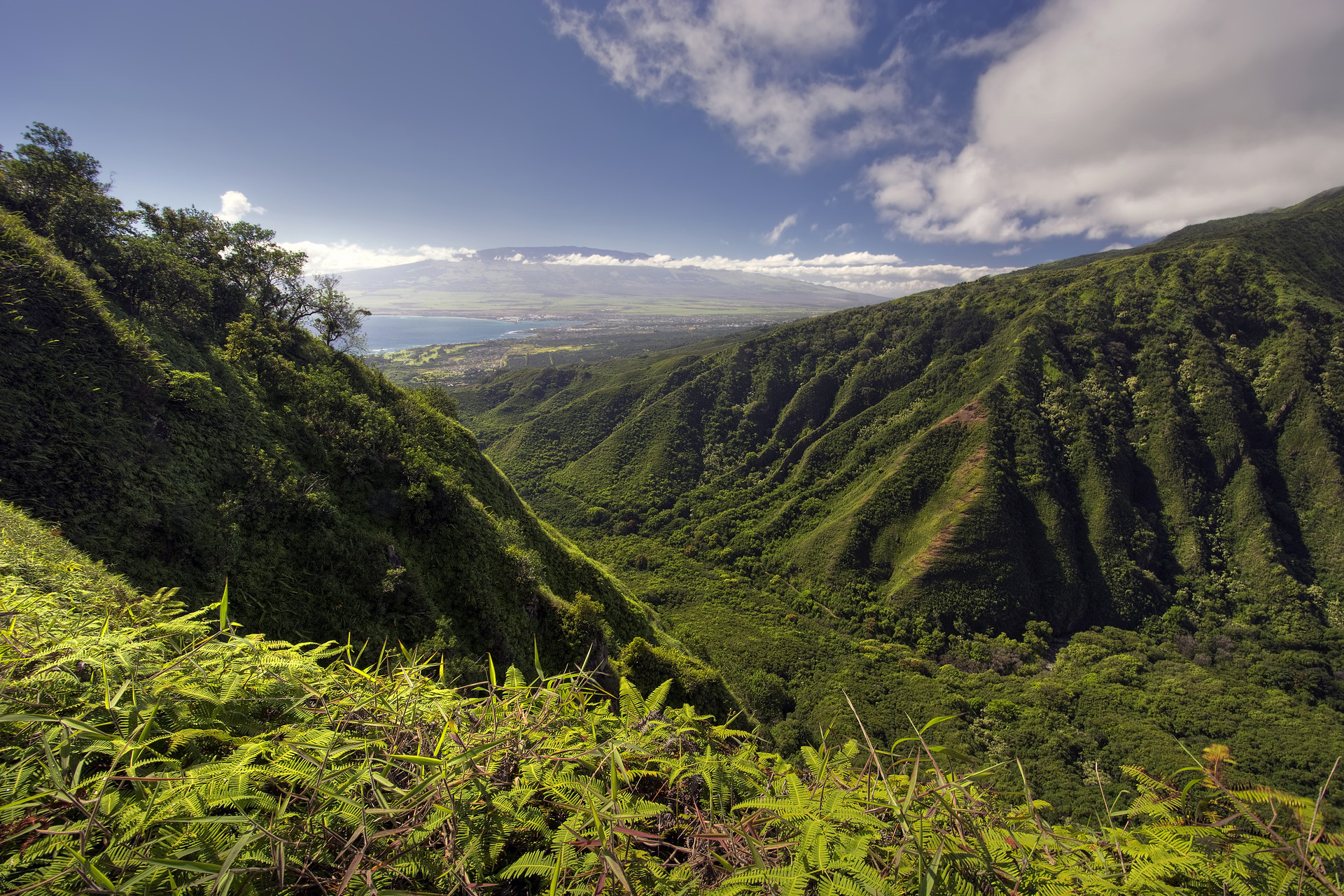 Explore Kahului, Hawaii