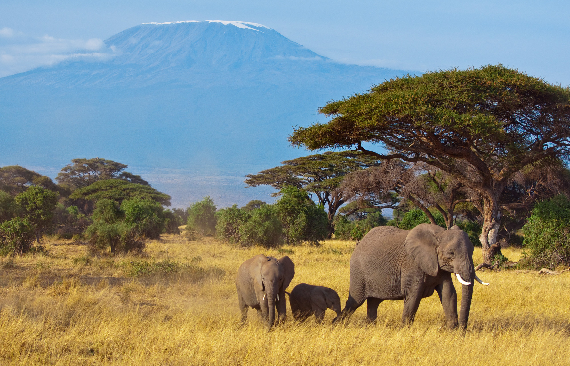 Kilimanjaro Travel blog