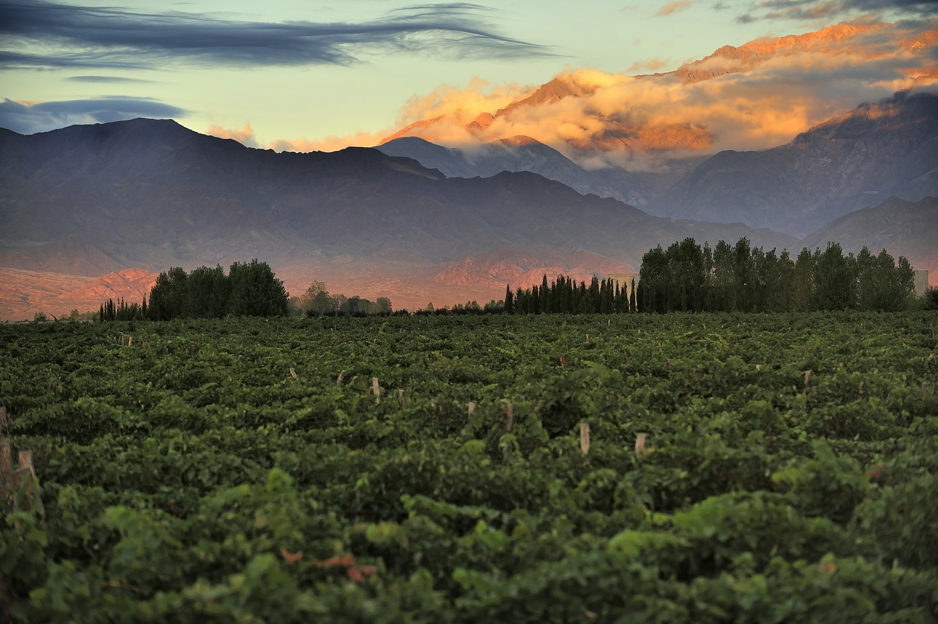 Travel to Mendoza, Argentina