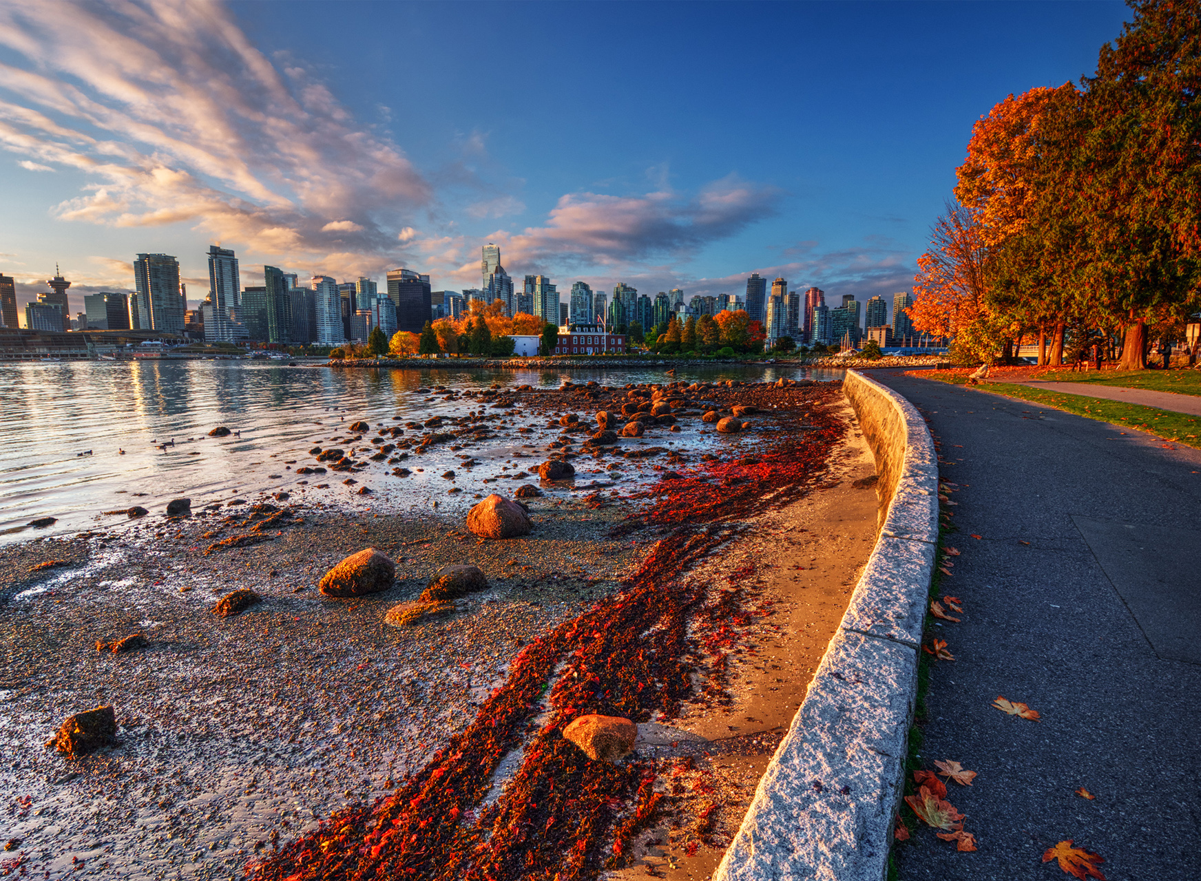 The Most Distinctive Experiences in Vancouver.