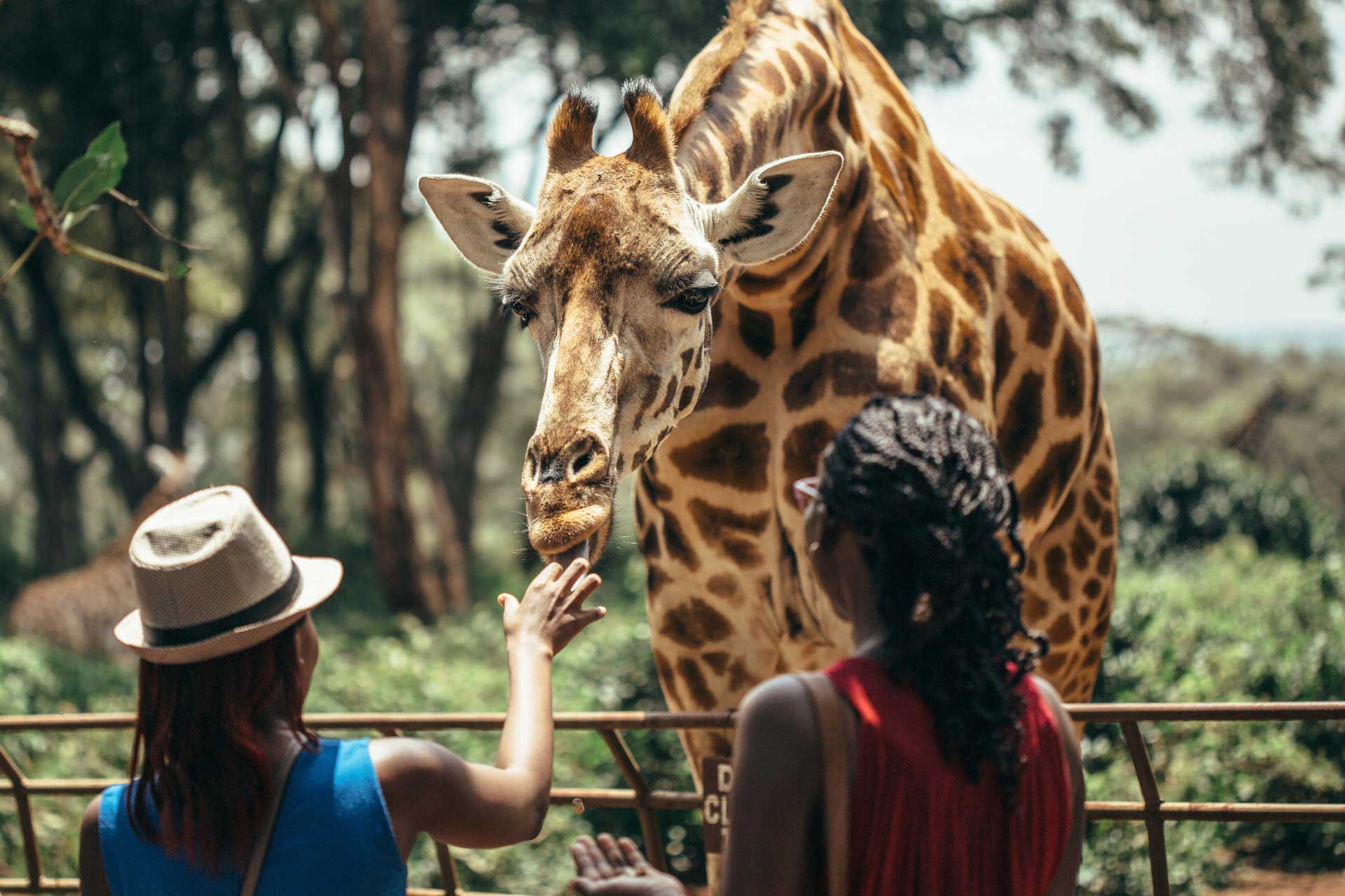 Kenya; The magical destination