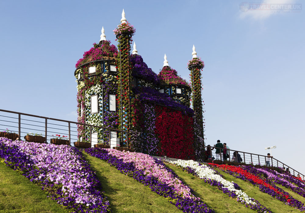 things to do in the Miracle Garden 12