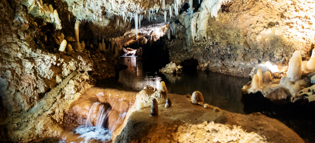 Barbados Travel Guide - Cave