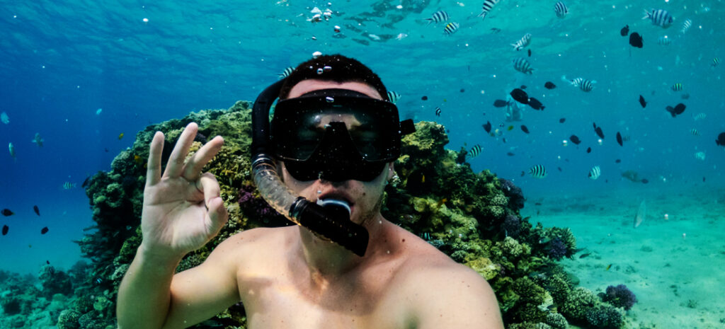 Barbados Travel Guide - Snorkeling