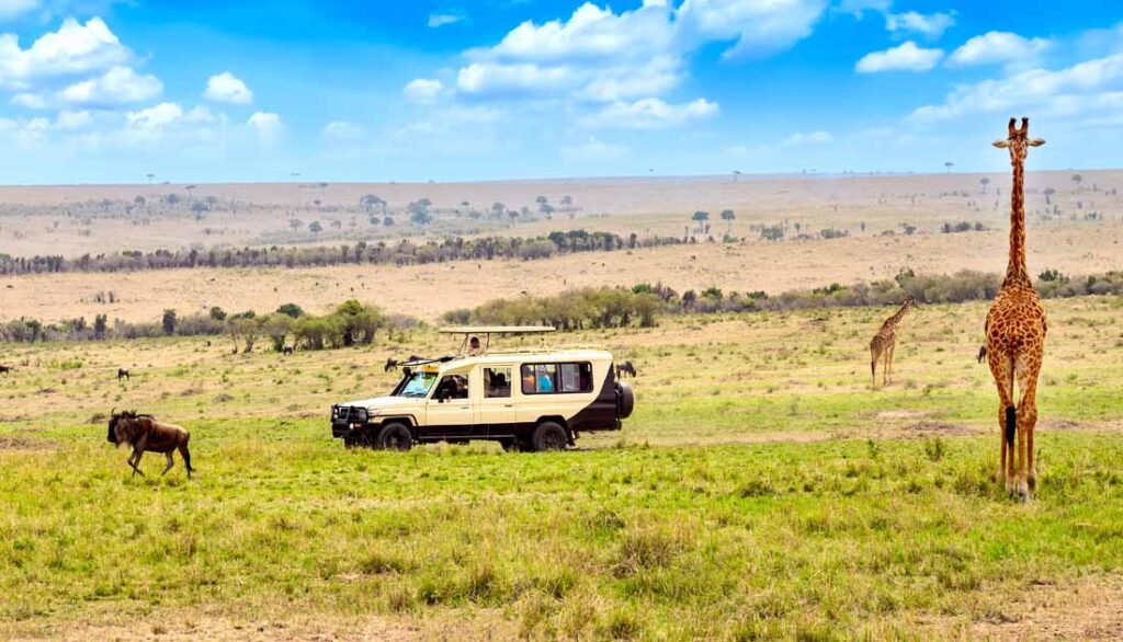 best safari destination in the world - Maasai Mara National Reserve, Kenya