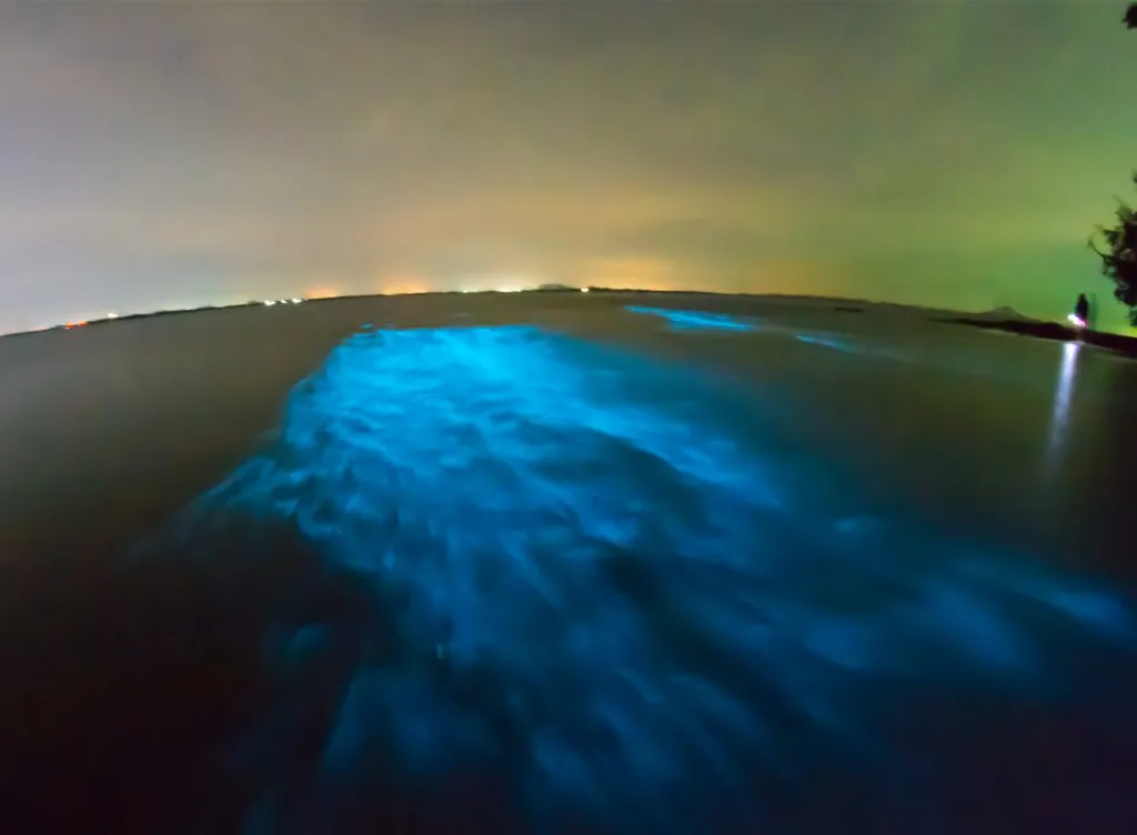 Bioluminescent Beaches in the World - Ton Sai, Krabi