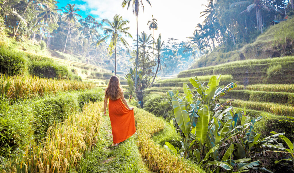 Best time to visit Bali - May