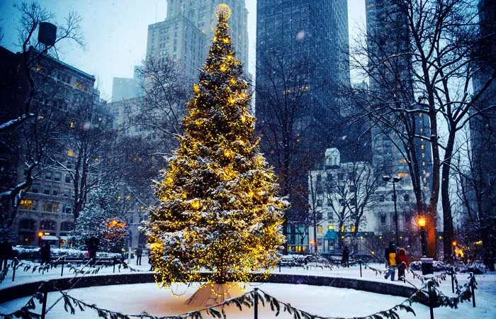 Christmas Holiday Deals -Newyork