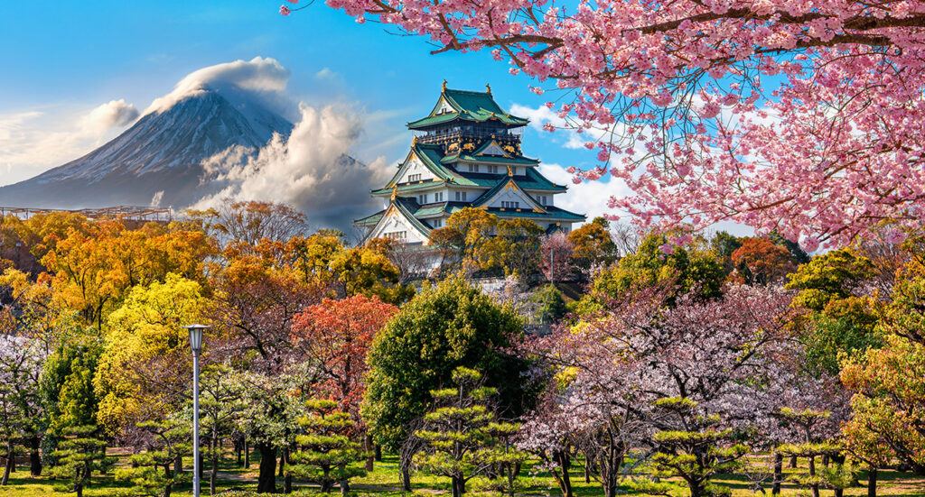 Black Friday Holidays - Japan