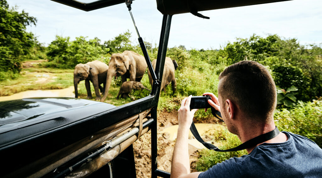 Things to do in Sri Lanka-Safari tour