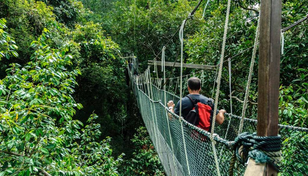 best safari destination in the world - Taman Negara National Park